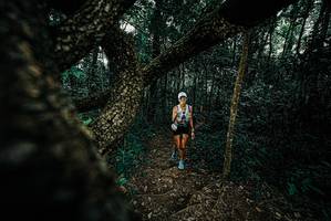 BIB: 
                            <button type="button" onclick="openModal(25684220)" class="btn btn-primary btn-sm float-right btn-popup" data-toggle="modal" data-target=".modal-high-quality">
                        <i class="fas fa-shopping-cart"></i> Add to Cart
                    </button>
                                            <button type="button" onclick="isThisMe(25684220, true)" class="btn btn-success btn-sm float-right btn-popup btn-isme hidden" data-toggle="tooltip" data-placement="bottom" title="นี่คือรูปของคุณใช่ไหม คลิกที่นี่เพื่อเอาเข้าอัลบั้ม">
                        <i class="fas fa-plus"></i> Add to album
                    </button>
                    <button type="button" onclick="isThisMe(25684220, false)" class="btn btn-warning btn-sm float-right btn-popup btn-isnotme hidden">
                        <i class="fas fa-ban"></i> Remove from album
                    </button>